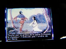 LOT PHOTOS PLAQUE DE VERRE BLANCHE NEIGE COULEUR