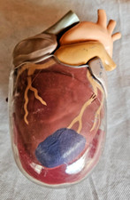 VINTAGE CABINET DE CURIOSITE