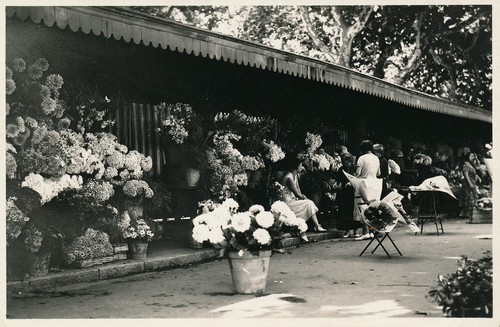 Cannes 1930 le marché - -,
