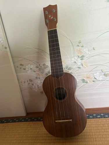 Luna 160 vintage soprano - luna, n°160