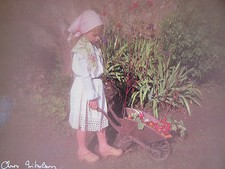 Carte Postale   CHRIS NIKOLSON