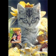 CM CEF - Le chaton - 22/4/2006 Paris