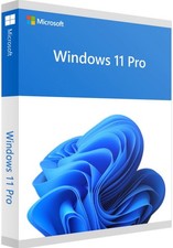 Windows 11 Pro 64-Bit DSP OEI