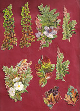 29 Très Rare Chromo Decoupis.   Magnifiques Compositions Florales D'Automne.