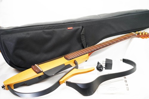 Guitare électrique acoustique