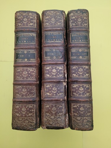 Dictionnaire raisonné - , et