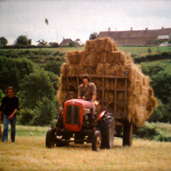 Film regards sur - film,