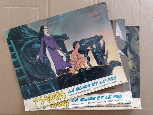 Tygra glace feu - feu,