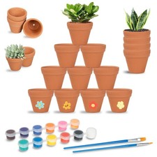 24 Pièces Mini Pots de Fleurs