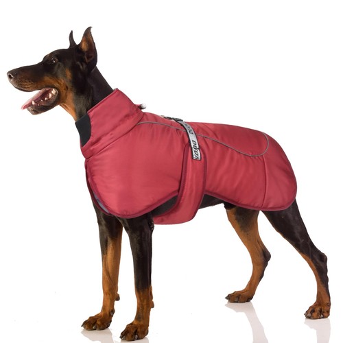 Manteau hiver pour chien - manteau, d'hiver