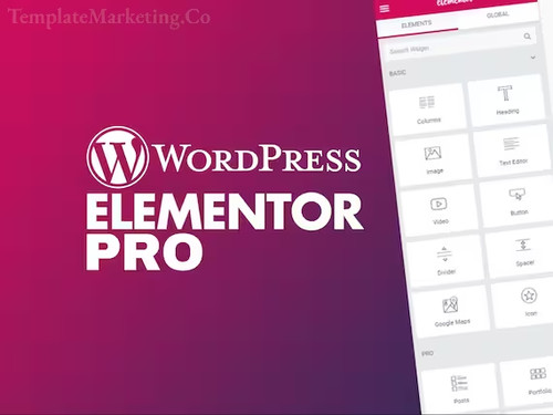 Elementor pro gpl pour - "elementor,