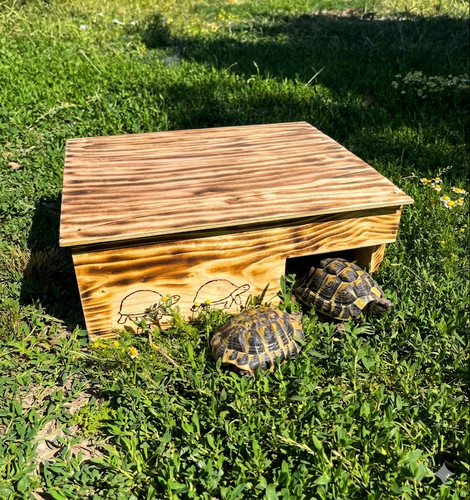 Cabane abri pour tortues - pour, bois