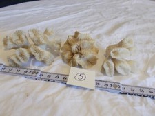 VERY BEAUTIFUL ANTIQUE WHITE