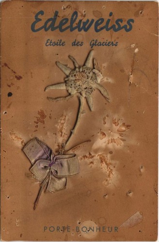 Cpa edelweiss etoile des - edelweiss,