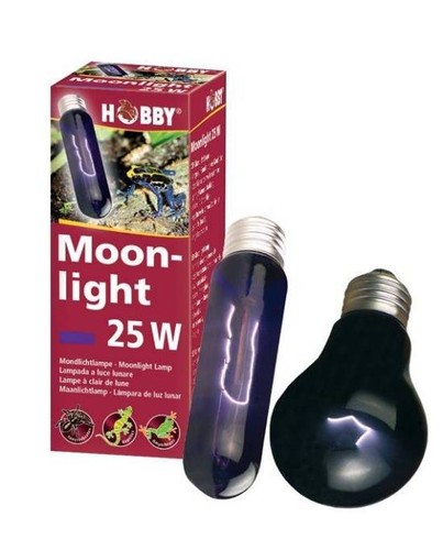 Ampoule hobby moonlight - ampoule,