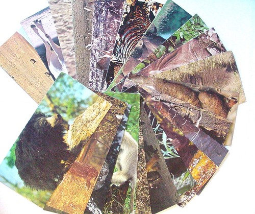 Cartes postales nestle - cartes,