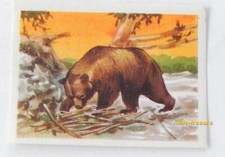 Image CHROMO Chocolat