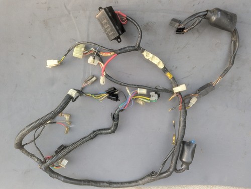 Faisceau électrique complet - Électrique,