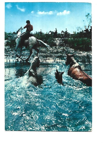 Fantaisie camargue - camargue,