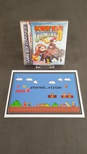 [GBA] DONKEY KONG COUNTRY 3