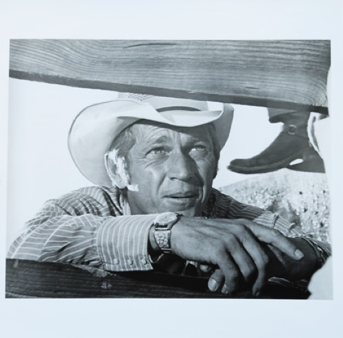 Affiche steve mcqueen tom - steve, mcqueen,