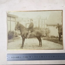 OSTROGA Grande Photographie Albuminé vers 1880 Équitation Pur Sang Menton