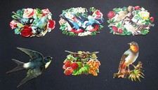 DECOUPIS  Chromo Animaux – Lot de 6 Oiseaux