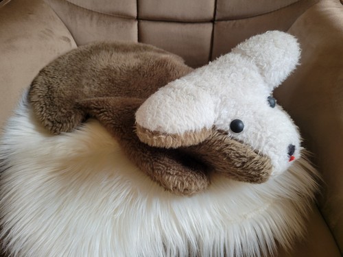 Petit chien peluche - petit,
