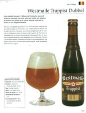 Belgian Beer Contemporary