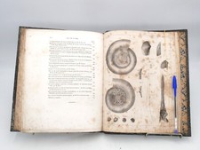 Arcisse de CAUMONT (1834, 1838) Géologie - Société Linnéenne de Normandie (EO)