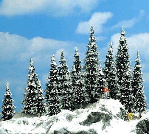 épinette neigeuse assortie - Épinette,
