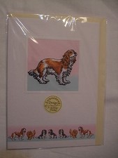 CARTE + ENVELOPPE - chien CAVALIER KING CHARLES BLENHEIM