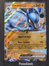 Carte Pokemon Lucario EX