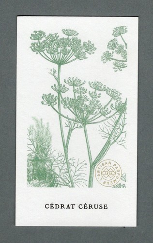 Carte publicitaire cédrat - carte,