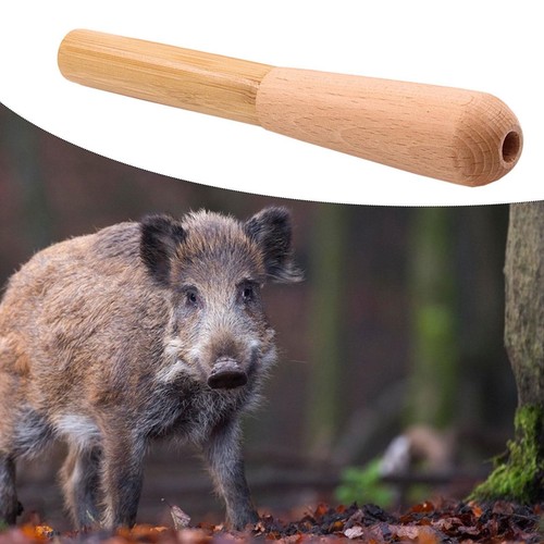 Appeau chasse sanglier - de,