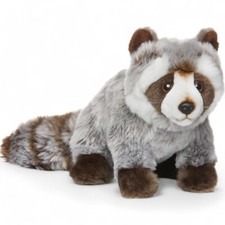 Carl Dick Raton laveur