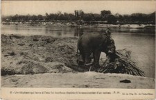 CPA AK Un Elephant VIETNAM-INDOCHINA (1105548)