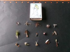 15 véritables mouches de