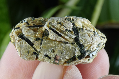 Micromount actinolite dans - micromount,
