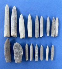 18 rostres de belemnites
