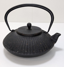 ? Théière en fonte couleur noir style japonais très lourde
