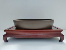 Pot à bonsaï Tokoname Seizan