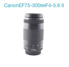 Objectif zoom téléobjectif