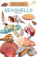 Peggy Snow Seashells (Relié)