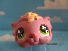 PETSHOP COCHON D'INDE N°510 /