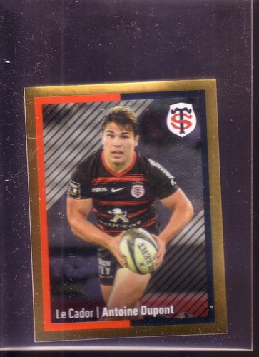 Sticker panini rugby - panini,