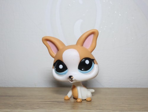 Littlest petshop chihuahua - petshop,