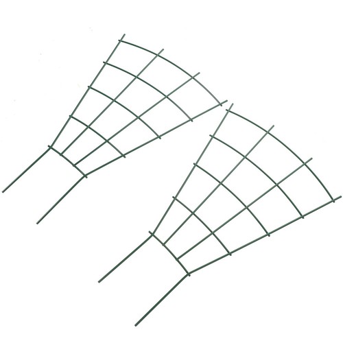Pcs vignes grimpantes - 2,