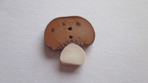 Bouton champignon madame - bouton,