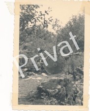 Photo WK2 Gebirgsjäger 11E